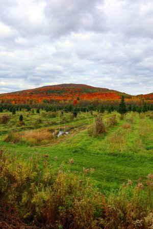 Photo for North America fall landscape eastern township Bromont-Shefford Quebec province Canada - Royalty Free Image