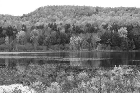 Foto de América del Norte caída paisaje municipio oriental Bromont-Shefford Quebec provincia Canadá en blanco y negro - Imagen libre de derechos