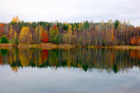 Photo for Colorful autumn landscape with trees and reflections in the water. - Royalty Free Image