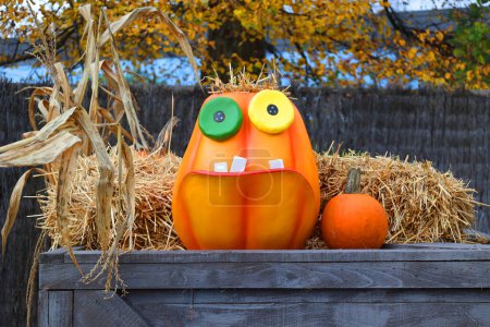 Photo for GRANBY QUEBEC CANADA 10 28 2023: Funny pumpkin for the Halloween period - Royalty Free Image
