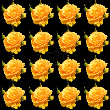 Téléchargez les photos : Fond sans couture fait de roses jaunes - en image libre de droit