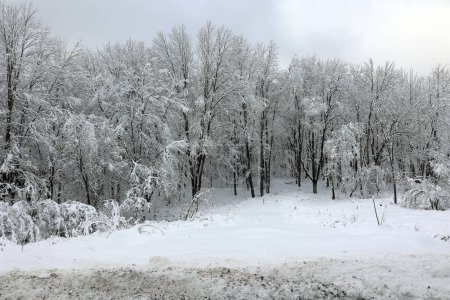 Foto de Paisaje invernal tras tormenta de nieve Eastern Township Quebec Canadá - Imagen libre de derechos