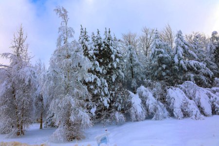 Photo for Winter landscape after snow storm Eastern Township Quebec Canada - Royalty Free Image