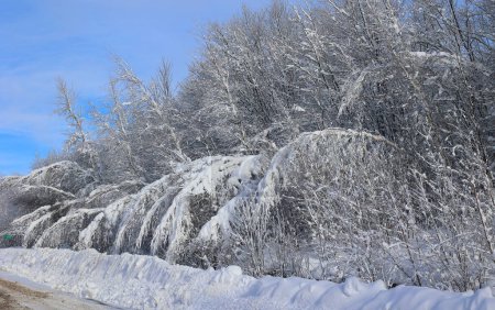 Photo for Winter landscape after snow storm Eastern Township Quebec Canada - Royalty Free Image