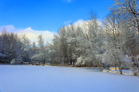 Foto de Paisaje invernal tras tormenta de nieve Eastern Township Quebec Canadá - Imagen libre de derechos