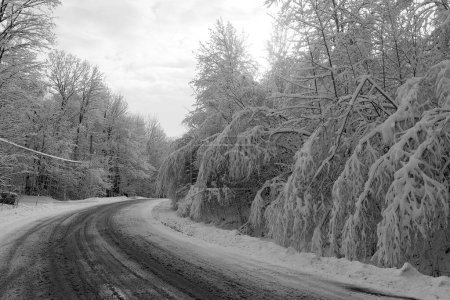 Photo for Winter landscape Bromont Shefford Quebec Canada - Royalty Free Image