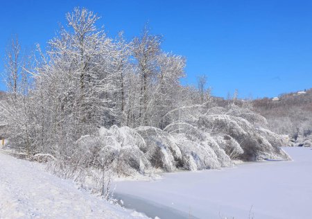 Foto de Paisaje invernal Bromont Shefford Quebec Canadá - Imagen libre de derechos