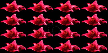 Téléchargez les photos : Modèle sans couture avec des fleurs de lys rouges - en image libre de droit