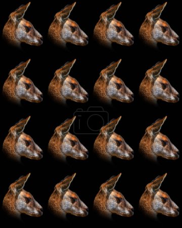 Téléchargez les photos : Un wallaby est un macropode de petite ou moyenne taille originaire d'Australie et de Nouvelle-Guinée. - en image libre de droit