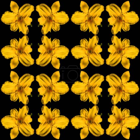 Téléchargez les photos : Un bouquet de fleurs jaunes sur fond noir - en image libre de droit