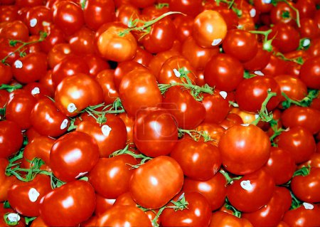 Téléchargez les photos : Tomates mûres en vente, vue rapprochée - en image libre de droit