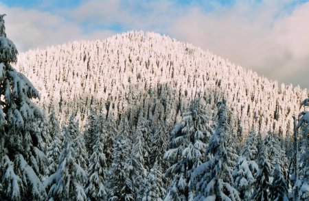 Winter at Grouse Mountain, Vancouver, British Columbia, Canada 