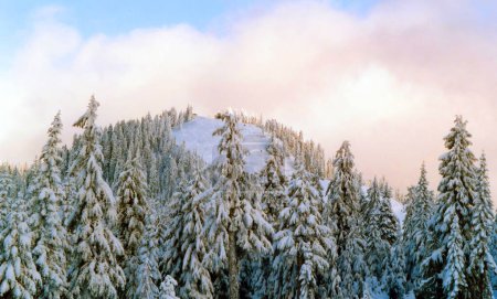 Winter am Grouse Mountain, Vancouver, British Columbia, Kanada