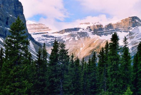 Paysage des montagnes Rocheuses canadiennes, Alberta, Canada