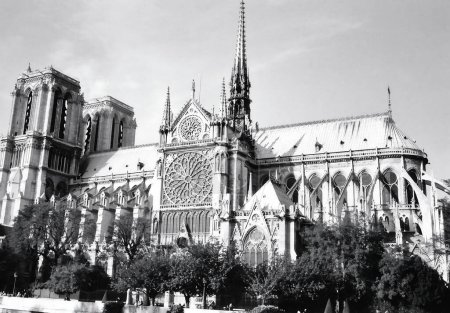 Photo for PARIS, FRANCE 10 12 2013: Gothic Notre-Dame Cathedral in Paris. The French capital known as the City of Light - Royalty Free Image