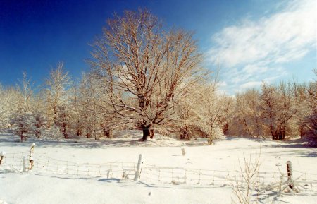Winter landscape in Bromont Shefford, Quebec, Canada