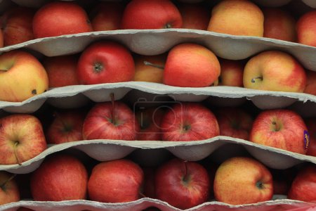Téléchargez les photos : Apples for sale at farmers market - en image libre de droit