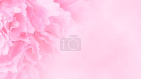 Téléchargez les photos : Carte d'invitation avec œillet rose. Modèle de carte de mariage. Fond floral. Modèle d'élégance avec des fleurs - en image libre de droit