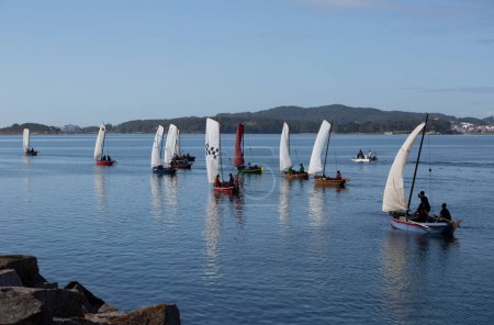 Foto de Tradicional regata de dornas de vela en el puerto de Cambados. Rias Baixas, Galicia - Imagen libre de derechos