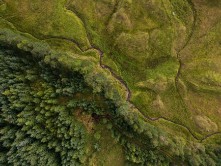 Vista aérea de las montañas con hierba verde y bosque en Auch, Puente de Orchy, Highlands escocés
