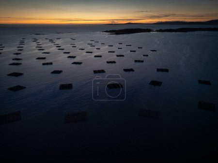 Aerial view of a polygon of pans for mussel cultivation in the Ria de Arousa at dusk