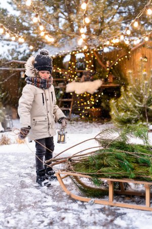 Foto de Un niño con ropa de invierno sostiene un trineo con un pino entre guirnaldas de linternas - Imagen libre de derechos