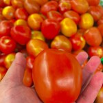 a close-up view of red tomato against tomatos background on the market