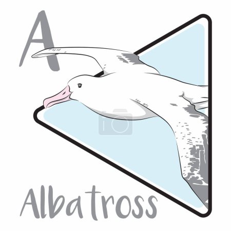 Téléchargez les photos : Illustration d'un albatros, un oiseau qui a une très large répartition des ailes et un excellent flyer. ont généralement une couleur blanche et noire ou grise - en image libre de droit