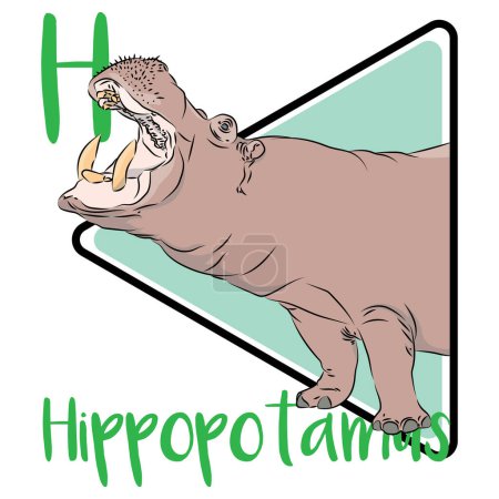 Foto de Hipopótamo es griego para caballo de río y a menudo se ve tomando el sol en las orillas o durmiendo en las aguas de los ríos, lagos y pantanos junto a los pastizales. Los hipopótamos tienen una piel única que necesita mantenerse húmeda durante buena parte del día.. - Imagen libre de derechos