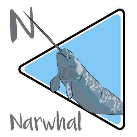 Téléchargez les photos : Le narval est une espèce de baleine à dents. Les narvals sont des animaux de mythes et de légendes. Les scientifiques ne savent pas exactement pourquoi les narvals ont des défenses. La pigmentation des narvals est un motif tacheté, avec des marques brun noirâtre sur un fond blanc. - en image libre de droit