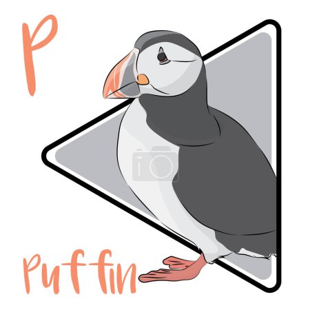 Puffins spend most of their lives out at sea, resting on the waves when not swimming. They are excellent swimmers who use their wings to stroke underwater with a flying motion. The bill appears large and colorful during the breeding season.