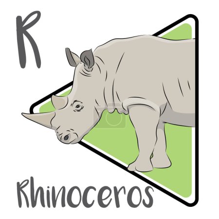 Les rhinocéros se caractérisent par la possession d'une ou deux cornes sur la face supérieure du museau. Les rhinocéros adultes n'ont pas de vrais prédateurs dans la nature. Les cornes de rhinocéros sont faites de kératine, le même matériau que les cheveux et les ongles.