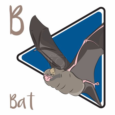 Foto de Los murciélagos son los únicos mamíferos que pueden emprender un verdadero vuelo propulsado. Muchas especies de murciélagos utilizan el sonido para encontrar su camino en la oscuridad y atrapar presas para comer. Esto se conoce como ecolocalización. - Imagen libre de derechos