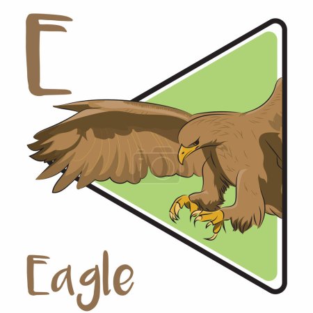 Illustration for Eagle is the common name for the golden eagle, bald eagle, and other birds of prey in the family Accipitridae. Eagles are large, powerfully-built birds of prey, with heavy heads and beaks. - Royalty Free Image