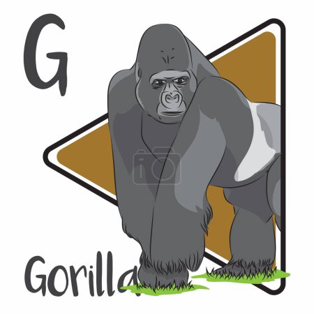 Illustration for Gorillas are the largest living primates. The DNA of gorillas is highly similar to that of humans. Gorillas are classified as Critically Endangered. Gorillas require rainforests to make their living, and the forest depends upon them, too. - Royalty Free Image