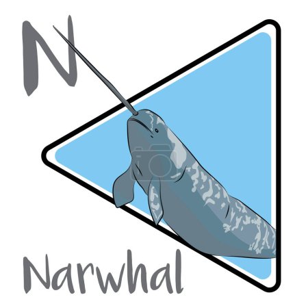 Illustration for The narwhal is a species of toothed whale. Narwhals are animals of myths and legends. Scientists don't know exactly why narwhals have tusks. The pigmentation of narwhals is a mottled pattern, with blackish-brown markings over a white background. - Royalty Free Image