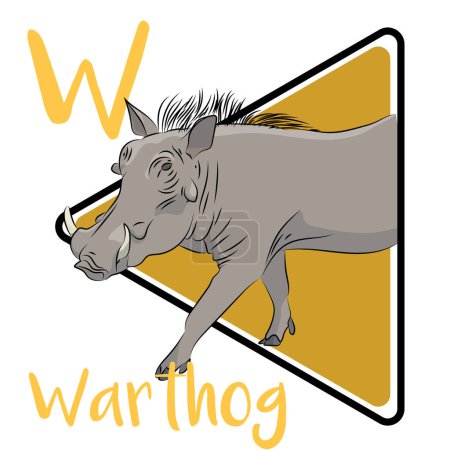 Ilustración de Warthog is a wild member of the pig family found in grassland, savanna, and woodland in sub-Saharan Africa. They are largely herbivorous, but occasionally also eat small animals. Warthogs can run as fast as 48 km an hour. - Imagen libre de derechos
