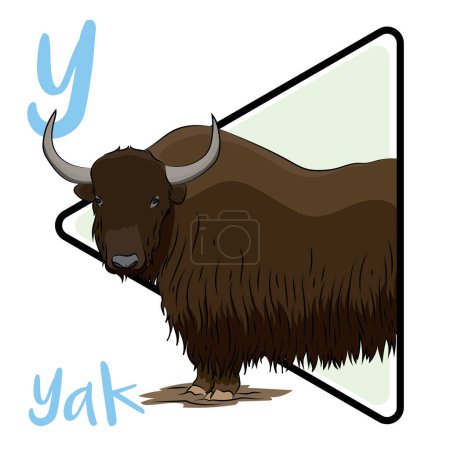 Les yaks sont des animaux originaires du Tibet et de Chine. La capacité pulmonaire de Yak est environ trois fois supérieure à celle du bétail. La physiologie du yak est bien adaptée aux hautes altitudes. Les yaks ont des cornes fermes et denses qu'ils utilisent pour percer la neige.