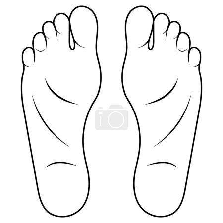 Illustration for Man foot drawing cartoon shoe size foot anatomy human sole - Royalty Free Image