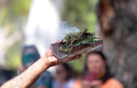 Téléchargez les photos : Main humaine tient un plat en bois avec des plantes australiennes, le rituel de la fumée lors d'un événement communautaire autochtone en Australie - en image libre de droit
