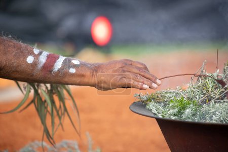 Téléchargez les photos : Main humaine avec branche verte d'eucalyptus pour le rite d'accueil rituel de la fumée lors d'un événement communautaire autochtone en Australie - en image libre de droit
