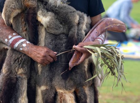 Téléchargez les photos : La main humaine tient des baguettes rituelles et une branche verte d'eucalyptus pour le rite de bienvenue lors d'un événement communautaire autochtone en Australie - en image libre de droit