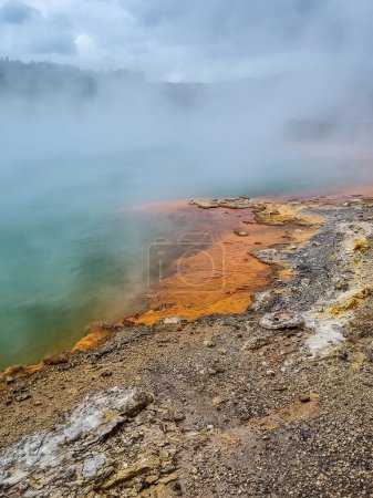 Heiße Quellen, vulkanische Aktivität, geothermische Aktivitätszone in der Rotorua-Region Nordinsel Neuseeland