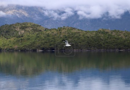Montagne et reflet, vue panoramique sur le lac Wakatipu, Nouvelle-Zélande, Île du Sud. Beau paysage 