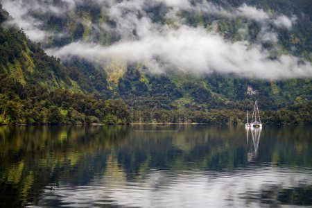 Seascape in Doubtful Sound Fiord, New Zealand, green costline and reflection in a wather, cloudy weather. Beauty in Nature
