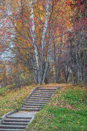 Alte Steintreppe im Park, übersät mit bunten Herbstblättern, herbstliche Landschaft. Saisonale Schönheit