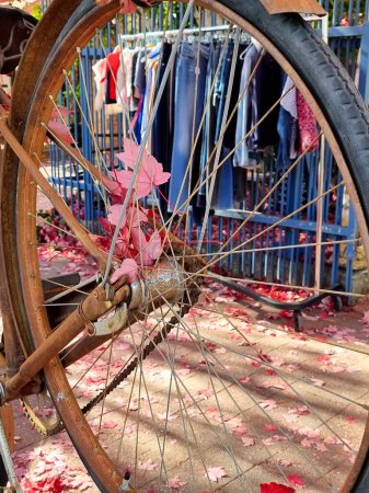 Ancienne roue à vélo avec feuilles d'automne rouges, feuillage des plantes d'automne, image de la nature du jour ensoleillé d'automne, gros plan