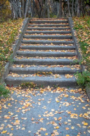 Alte Steintreppe im Park, übersät mit bunten Herbstblättern, herbstliche Landschaft. Saisonale Schönheit