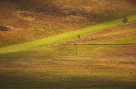 Autumn landscape, meadows, fields and hills in green and yellow colors. Beauty in nature