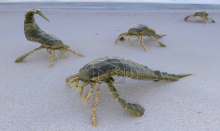A 3D illustration of Erypterus Remipes on a beach 400 million years ago.